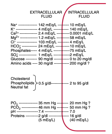composição dos líquidos extra e intracelulares
