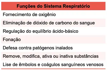 funções do sistema respiratório